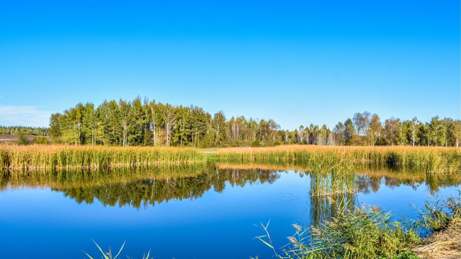 Sherwood Lake Hotel Berezovka  المظهر الخارجي الصورة
